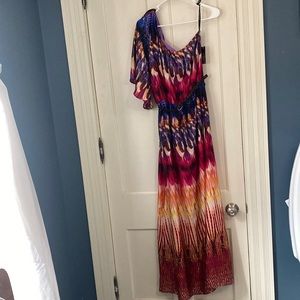 Bisou Bisou One Shoulder Maxi Dress Size 6
